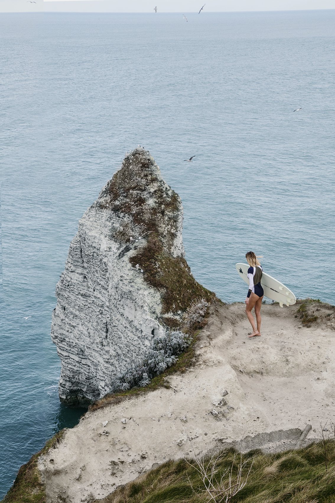 Francois ponsard biography 03 picture